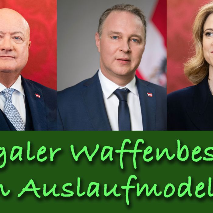 Politikerbefragung3