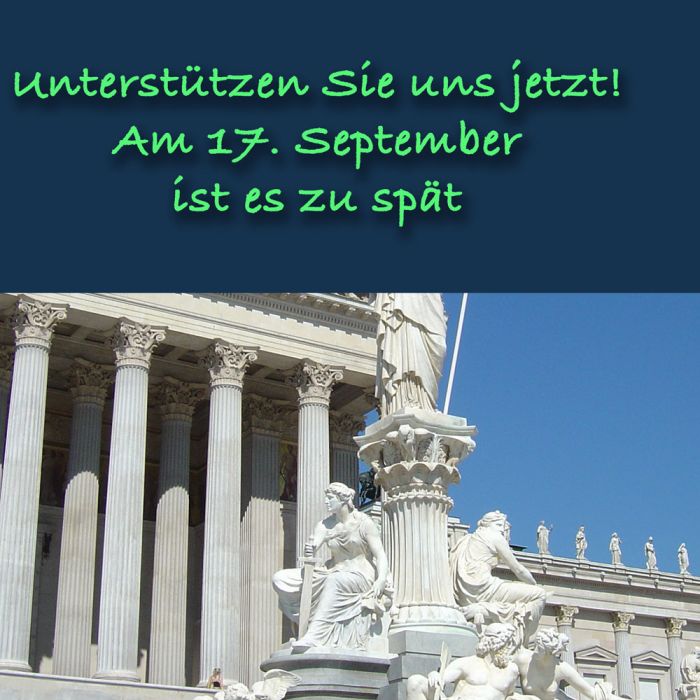 Unterstützung-Begutachtung_thumb4
